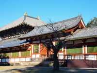 11月好去處|奈良東大寺:古韻與秋色共舞