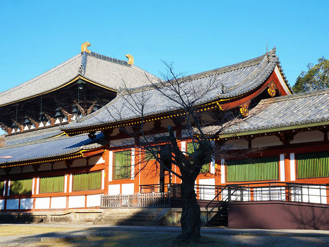 11月好去處|奈良東大寺:古韻與秋色共舞 11月好去處|奈良東大寺:古韻與秋色共舞