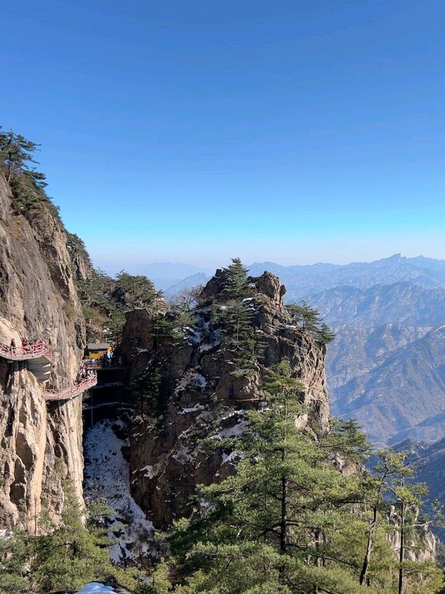 洛陽人跪推老君山!這座仙山藏著中原最炸裂的盛世顏! 洛陽人跪推老君山!這座仙山藏著中原最炸裂的盛世顏!