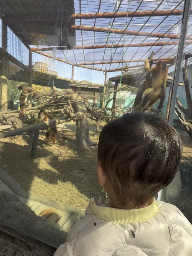 江浙滬遛娃計劃開啟第一站太湖龍之夢