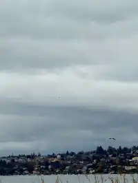 日內瓦一日citywalk逛吃攻略附路線