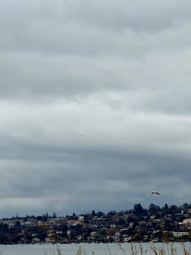 日內瓦一日citywalk逛吃攻略附路線 日內瓦一日citywalk逛吃攻略附路線