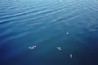 一座城一卷膠|南寧