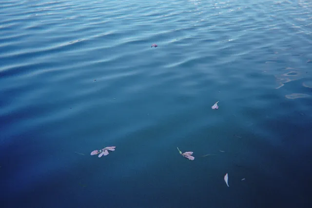 一座城一卷膠|南寧 一座城一卷膠|南寧