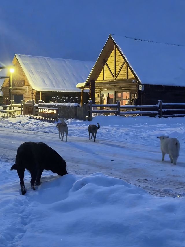 初冬阿勒泰｜雪域秘境中的極致曠野盛宴