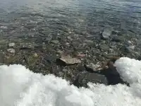 青甘大環線四湖總結(晴冬版)