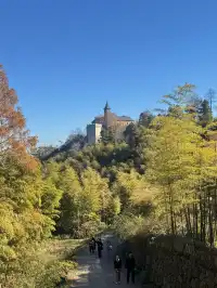 莫干山蔣公古道 請大膽浪費時間給秋天