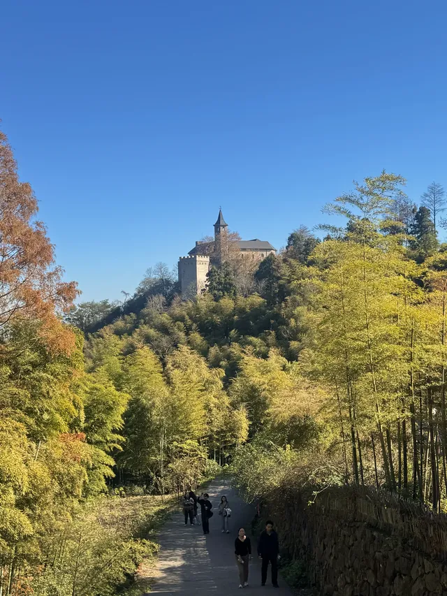 莫干山蔣公古道 請大膽浪費時間給秋天