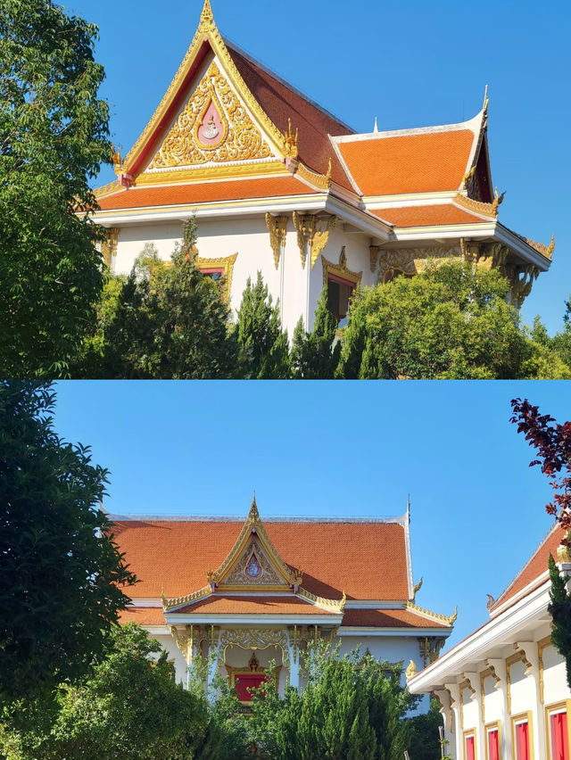 鄭州-開封-洛陽5日遊玩到不想走 鄭州-開封-洛陽5日遊玩到不想走