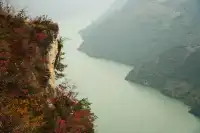 巫山龍脊看紅葉｜懶人零難度路線