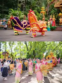 N刷已回！曼聽公園攻略+機位一次說清楚！