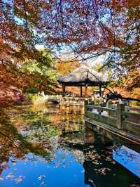 上海1小時直達,虞山真的太香了!