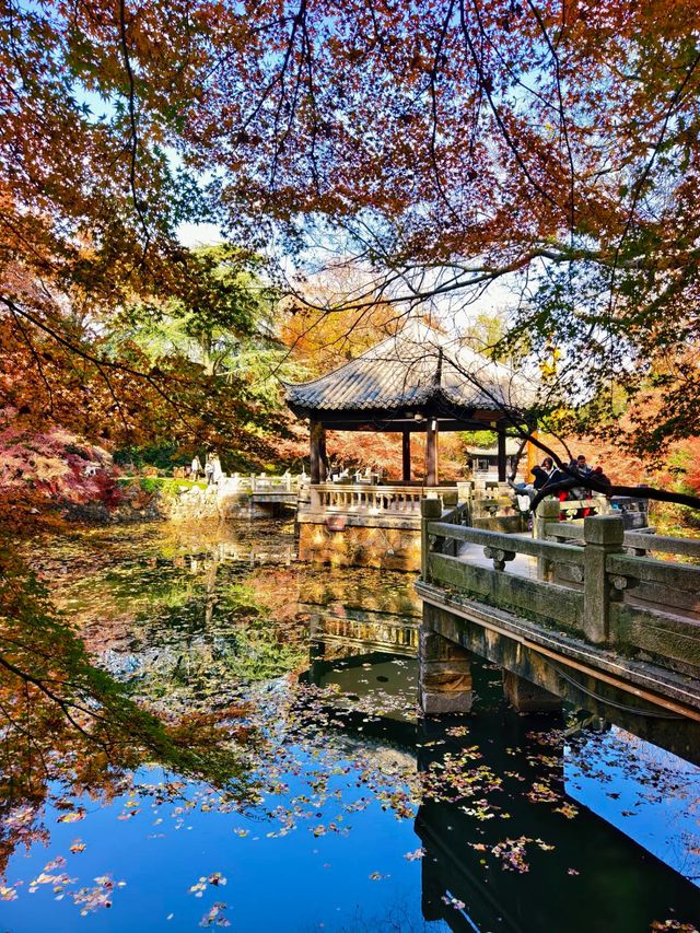 上海1小時直達,虞山真的太香了! 上海1小時直達,虞山真的太香了!