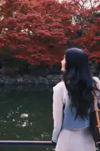 何園的雞爪槭，已經進入「高光時刻」