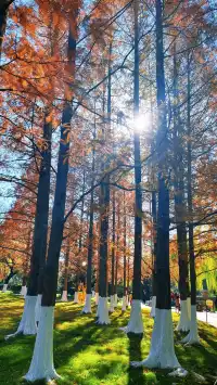 濟南五龍潭I live 這裡的泉水會“發光”