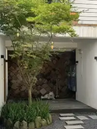 竹海環抱莫干山去了還想去的山間民宿