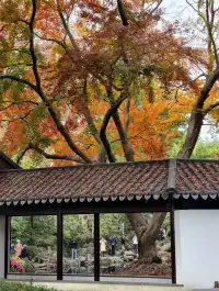 打翻調色盤,最後一次這個視角做寄暢園封面