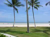 蘇梅島海灘度假村|奢華享受就在這裡! 酒店:蘇梅島海灘度假村 地址:445/8 Moo 1