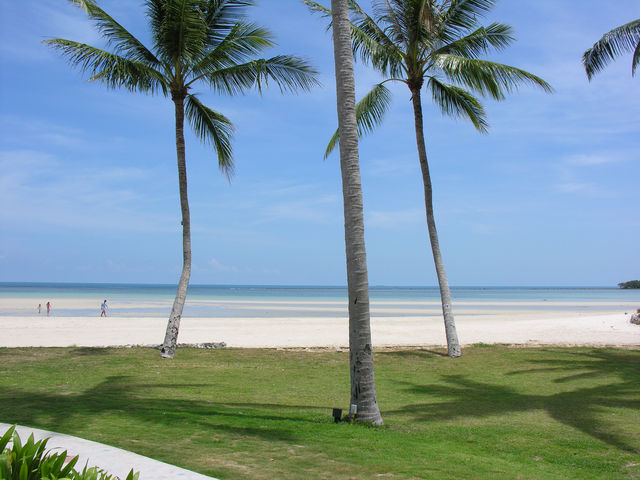 蘇梅島海灘度假村|奢華享受就在這裡! 酒店:蘇梅島海灘度假村 地址:445/8 Moo 1 蘇梅島海灘度假村|奢華享受就在這裡! 酒店:蘇梅島海灘度假村 地址:445/8 Moo 1