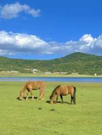 美得不像話雲南麗江也有自己的阿勒泰