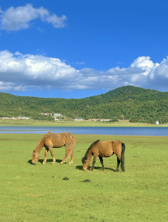美得不像話雲南麗江也有自己的阿勒泰 美得不像話雲南麗江也有自己的阿勒泰