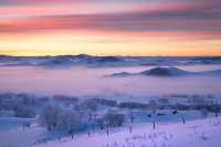 皇家禮遇與雪原牧歌的奇遇記