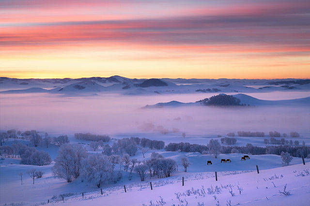 皇家禮遇與雪原牧歌的奇遇記 皇家禮遇與雪原牧歌的奇遇記