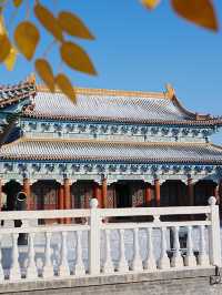 雪落哈密回王府 | 把古詩詞的浪漫照進現實