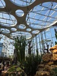 Shanghai Greenhouse Garden – всё, что нужно знать