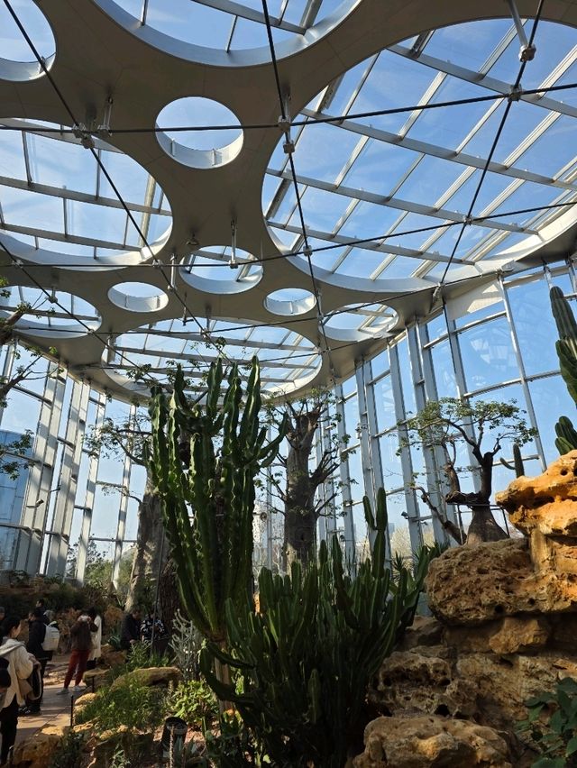 Shanghai Greenhouse Garden – всё, что нужно знать Shanghai Greenhouse Garden – всё, что нужно знать