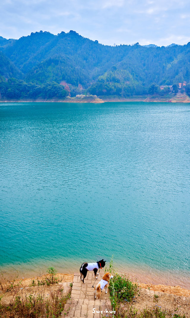 郴州資興|在森林裡遇見了東江湖晨霧 郴州資興|在森林裡遇見了東江湖晨霧