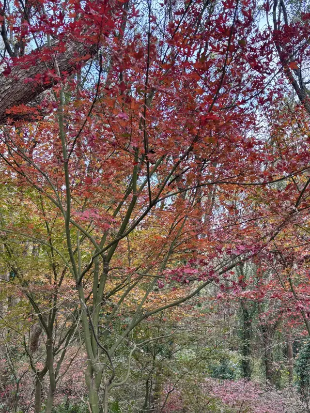 พลังของภูเขาผูโตซานนั้นแข็งแกร่งจริงๆ