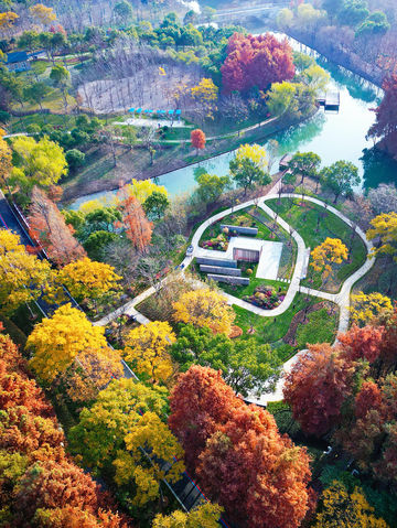 上海新的橫沔公園,開園3天遊客量破萬 上海新的橫沔公園,開園3天遊客量破萬