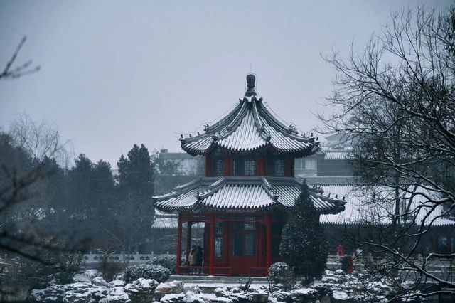 帶你看看不一樣的古蓮花池
