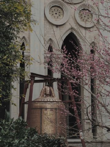 고덕사 매화가 만개할 때, 나는 무한에 도착했다. 