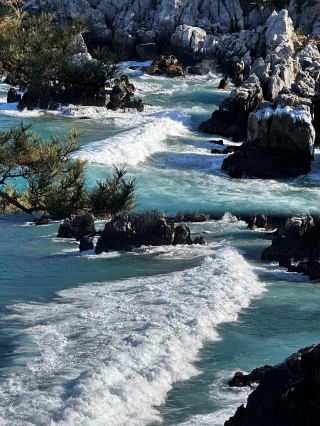 小韓の旅の思いがけない喜び、東海の美しさに叫びたくなる！