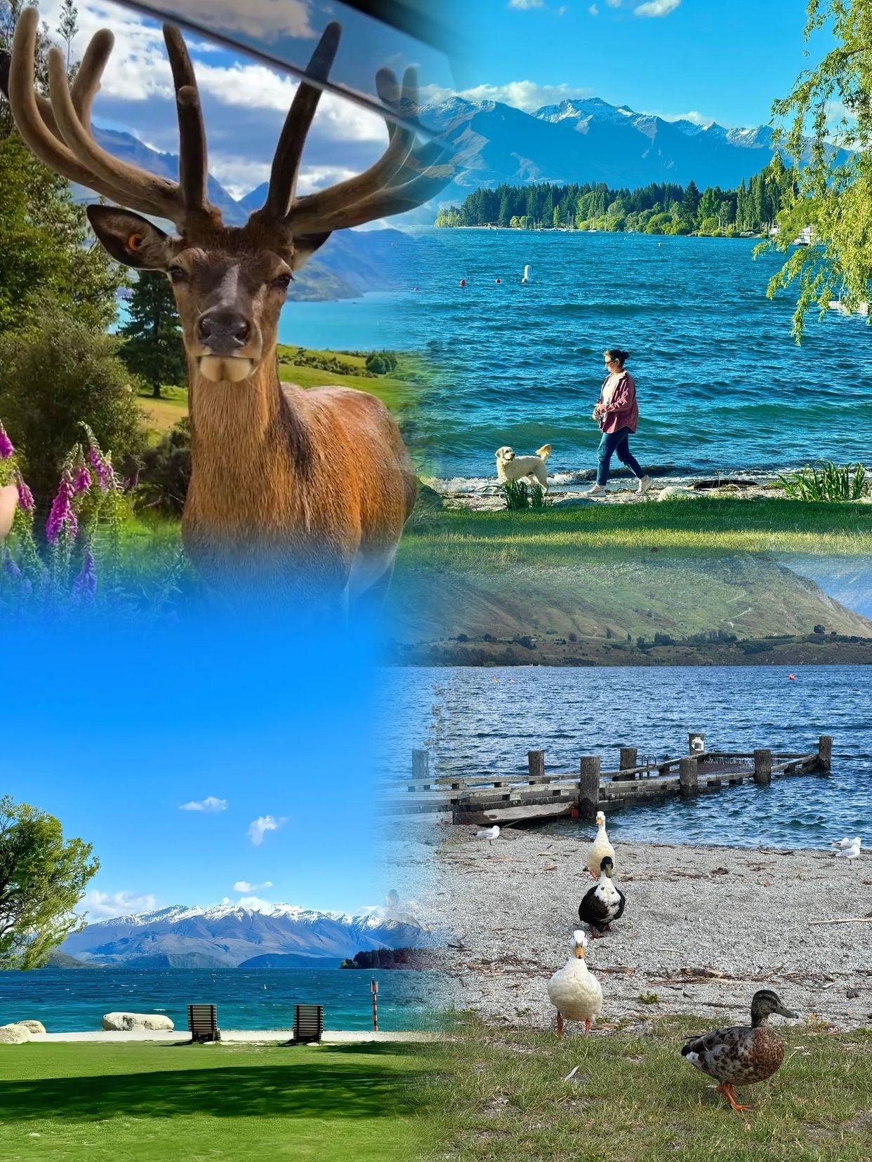 New Zealand is stunningly beautiful, but I honestly don’t recommend going in March because.......