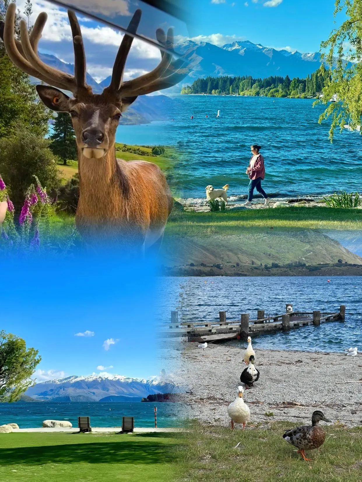 New Zealand is stunningly beautiful, but I honestly don’t recommend going in March because.......