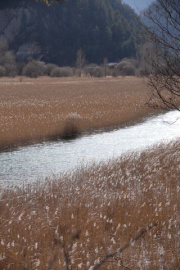 구채구에 가기 전에 꼭 봐야 할 글 | 꿀팁+인생샷 가이드