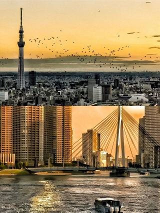 ล็อบบี้ลอยฟ้าอันงดงามของโรงแรมอามัน โตเกียว ผสมผสานสไตล์โมเดิร์นและความงามแบบเซนเข้าด้วยกันอย่างลงตัว