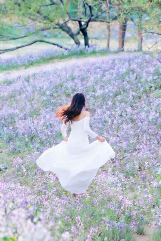 京城の秘密のモネの庭園