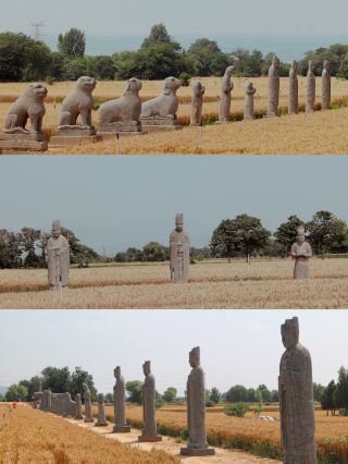 바람에 밀밭이 출렁이고, 꿈은 다시 대송 공의 북송 황릉으로