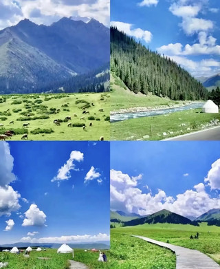 Xinjiang Grassland Top List, Flowers in Yili, Self-driving Tour Guide