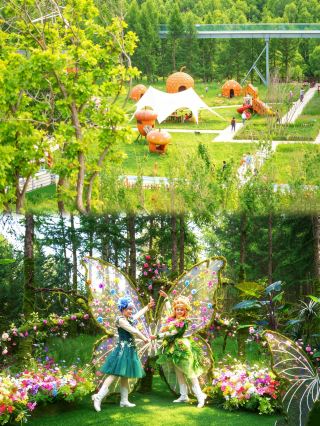 A 16℃ summer escape near Beijing, the colorful forest’s summer is so healing