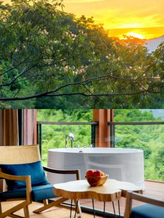 Zhuji Forest Treehouse! Step into a real-life fairytale utopia