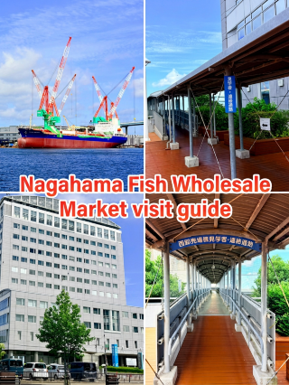 福岡長濱鮮魚市場參觀指南