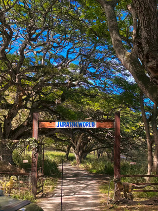 Kualoa Ranch Hawaii Kualoa Ranch experience