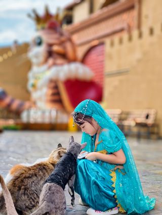 Guangzhou Moon Cat City | อาณาจักรแมวเหมียวนับพันในปราสาทสไตล์เอ็กโซติก 🏰