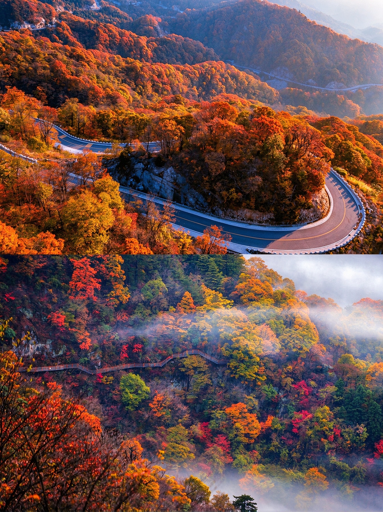Personally tested! Follow this route to see fall foliage in the Dabie Mountains