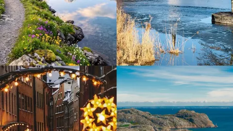 คนรวย vs คนธรรมดา เมื่อมาสวีเดน | ภายใต้แสงเหนือ ทุกคนเท่าเทียมกัน🇸🇪 — traveler post in มัลเมอ